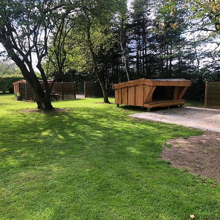 Familiehuis Boysen Shelters Ribe Exterior foto